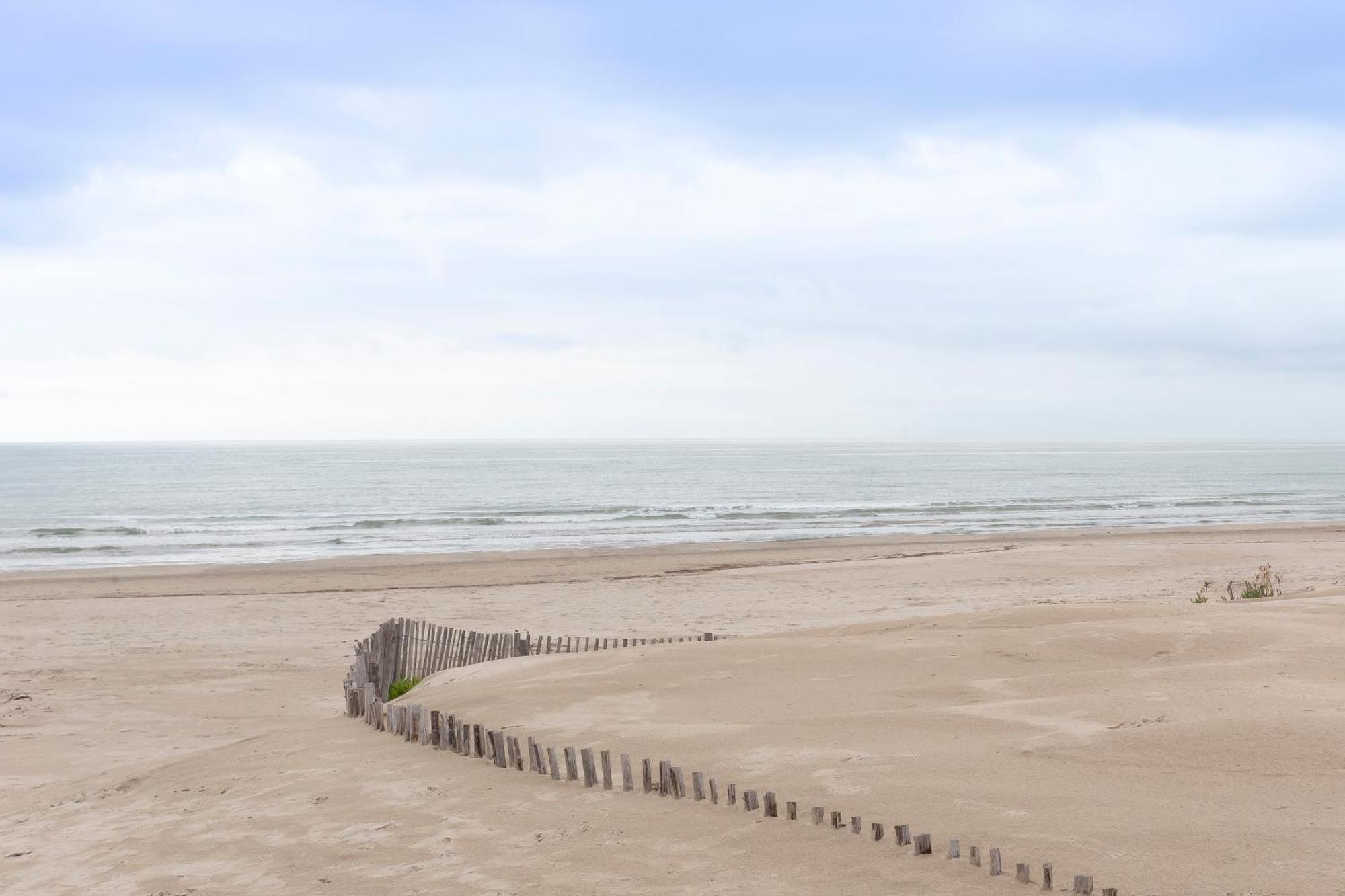 Chez Edouard 362 - Superbe Appartement En Premiere Ligne De La Plage 拉格朗德默特 外观 照片